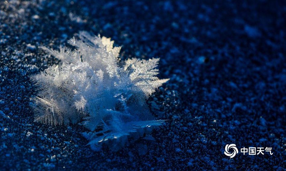 亨迪药业：:截至2025年10月31日公司股东户数为20838户