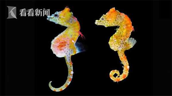 股市!牛人实战{大}赛丨10月10日十大热股出炉！海康威视登顶买入榜第一名（明细）