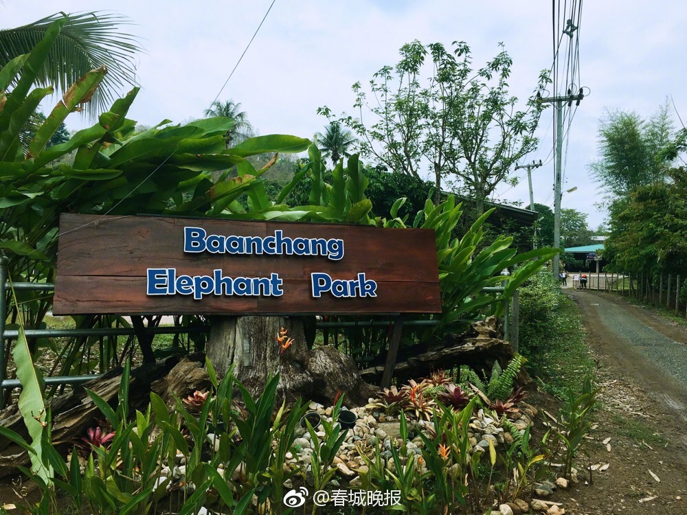 美联:储降息是否会催生资产泡沫？