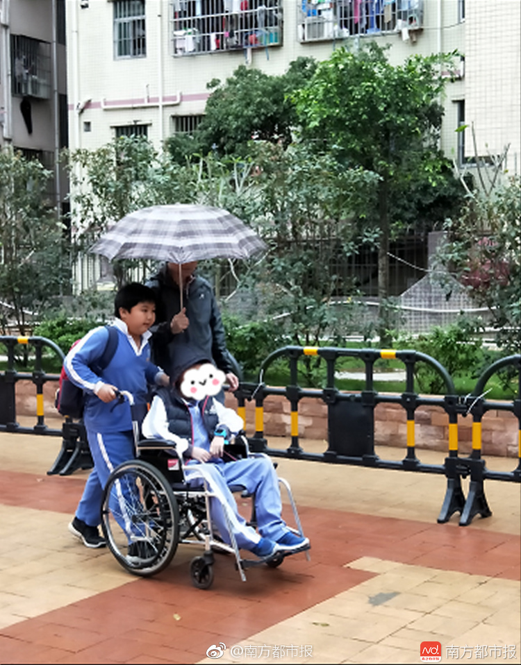 盛<视>科技（002990）：中标上海国际机场股份有限公司采购项目，中标金额为167.80万元