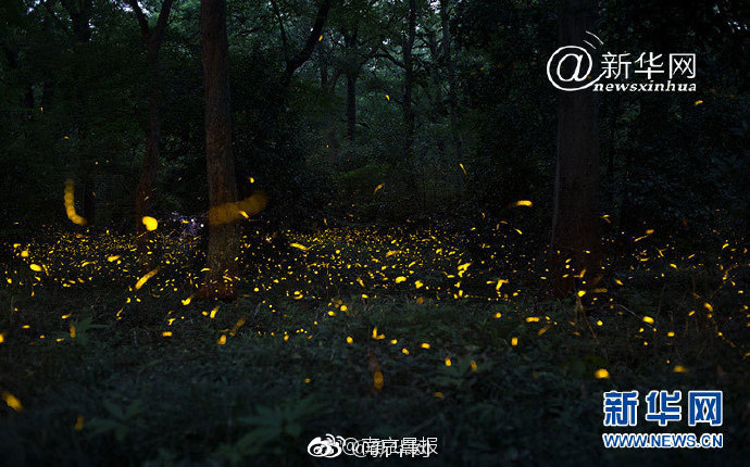 【私募<调>研记录】千合?资本调研湖北宜化