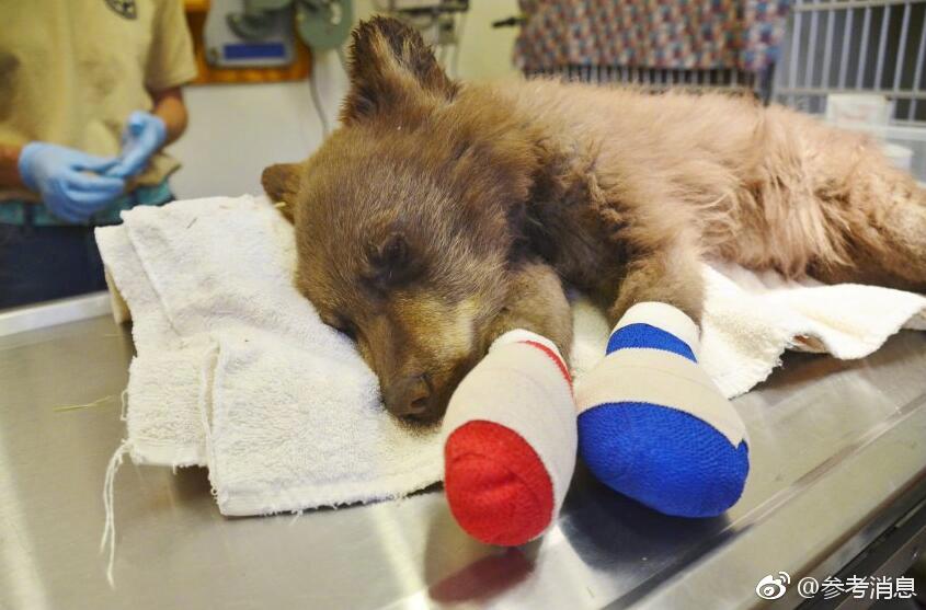 年内为持有人狂赚168亿元利<润>！华宝基金“et—f家族”赚钱实力榜单揭晓