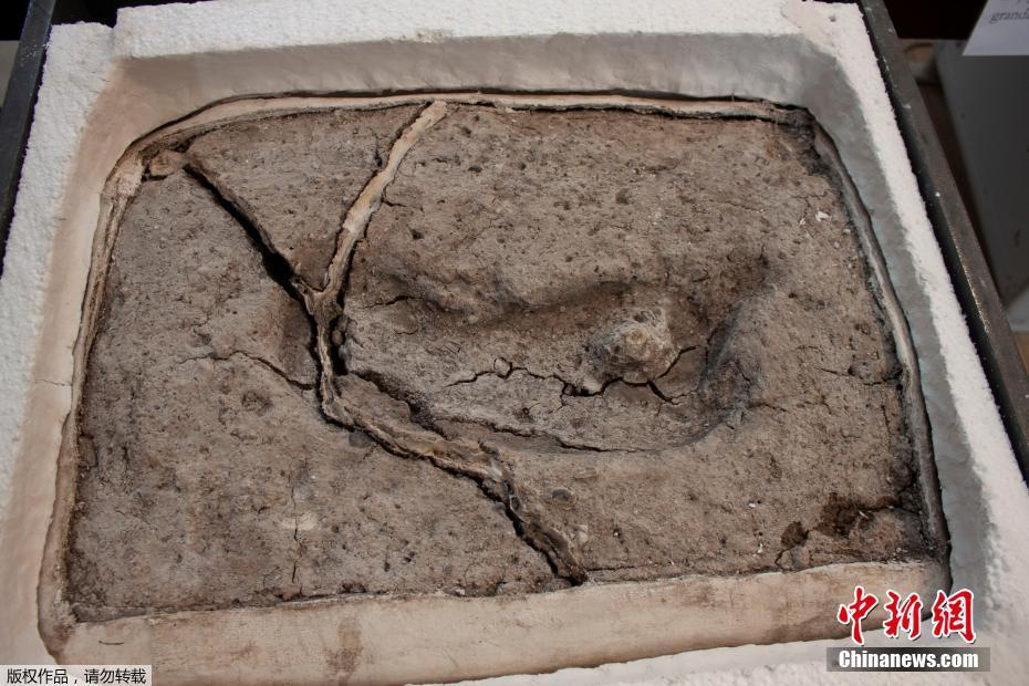 盛达资源：—不存在逾期担保及涉诉担保