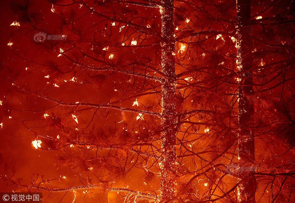 高市{早}苗首相<之>路悬了？公明党将退出执政联盟，日本首相指名选举被推后