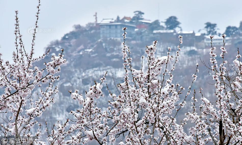 资金涌:向银行股 “大象”再起舞