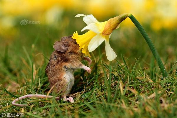 全文对比美联储9:月会议声—明有何变化