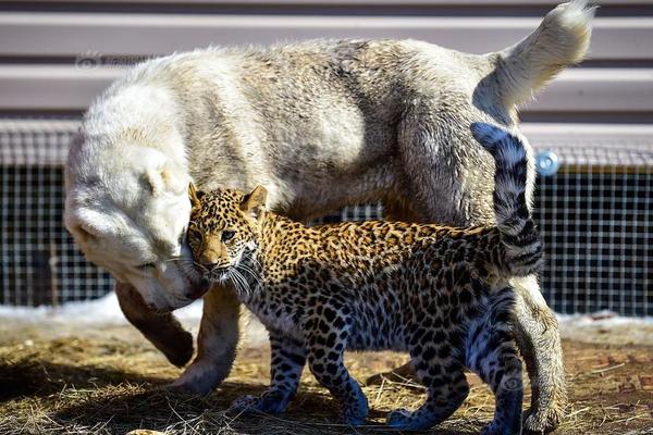 赛微?电子：mems行业正处于关键发展期，努力提升mems产能利用率