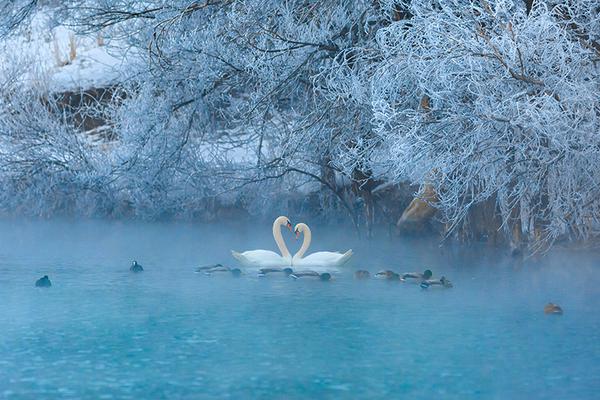 平安:银行周强：目前没有资本补充计划