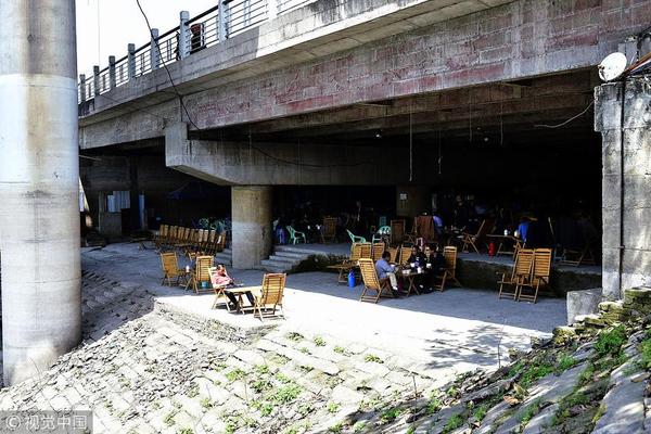 新大正（00<2>96!8）：中标重庆市沙坪坝区人民法院采购项目，中标金额为595.49万元