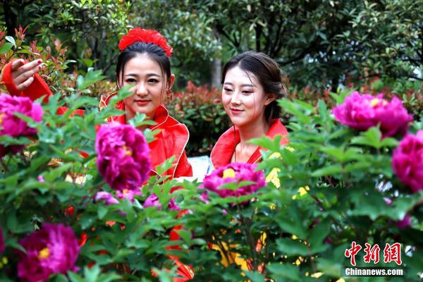 丽?珠集团：2025年半年度归属于上市公司股东的净利润同比增长9.40%