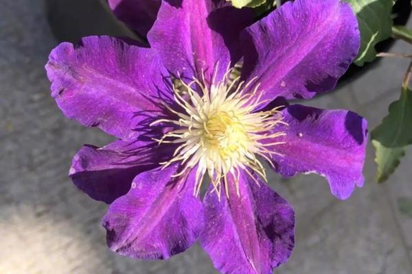 一天;之内;三高管表达疑虑，美联储12月降息愈发艰难