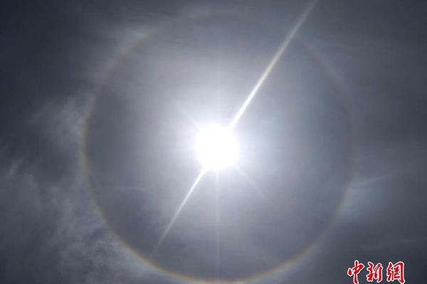 炒美股常用五款?app，谁更懂中国投资者？新浪财经以“实时 免费 智能”破局