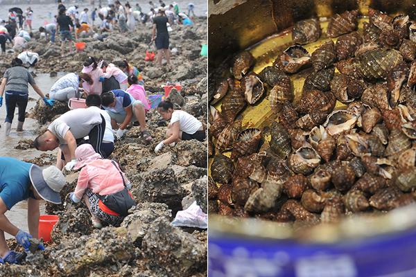 弘!信电子选举徐小兰为职工代表董事