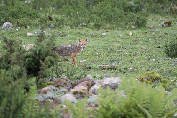 外!企高管;：投资中国，就是投资未来