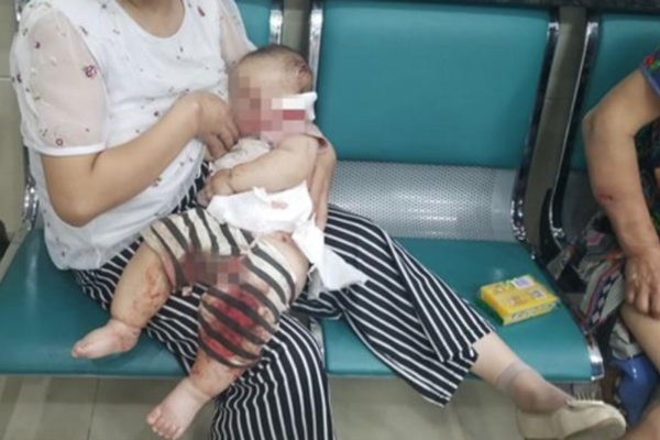 2‘6’00亿美元散户资金“无差别”买入 正在扭曲公司债市场