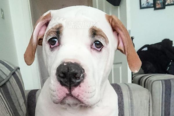 银?行板块逆势拉升 西安银行涨超5%