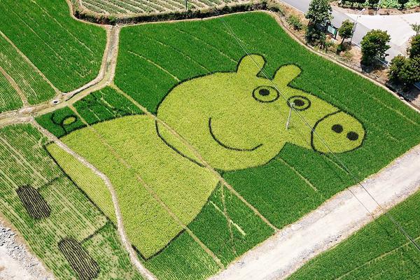 金,丰来:宽松信号下贵金属强势回归