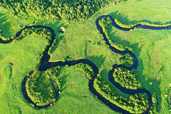 同飞股—份：796000股限售股将于11月12日上市流通