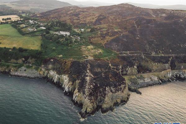 原创 和达科技：:累计:回购约85.95万股