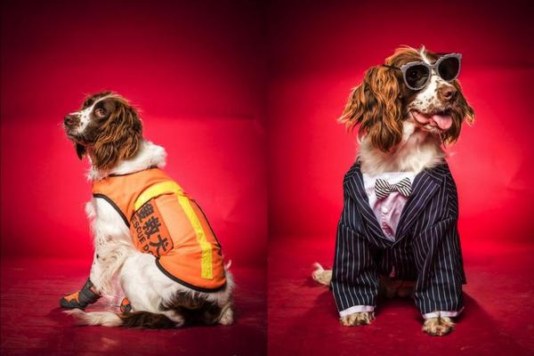 绝味食品<（>603517）被立案，股民索赔可期