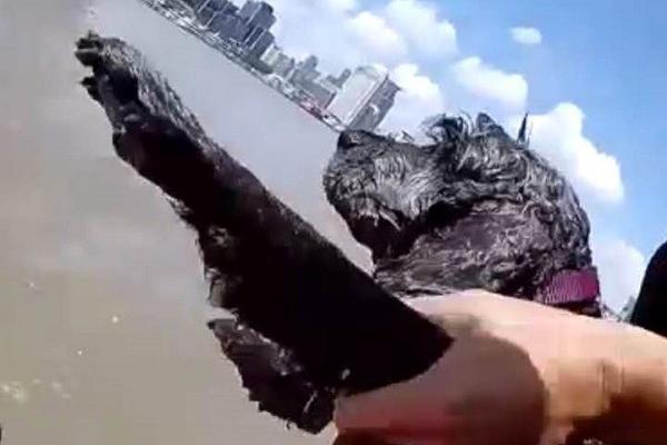 汇.丰银<行>携手法国初创企业mistral，加速生成式人工智能部署