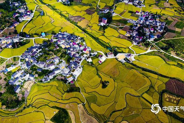 雅图高;新.虽然已过会，但广发证券驻雅图高新现场负责人冯梓轩为何上会前突然离职？