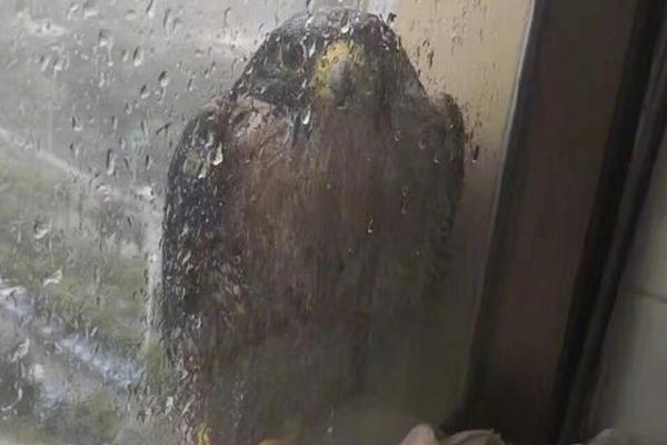 常青科:技：公司泰州项目依托现有技术优势，向芳香族含氧高分子新材料特种单体领域延伸