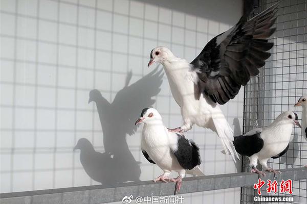 对!话爱奇艺朱梁：虚拟制作是为了省钱？这是一种片面理解！|财之道