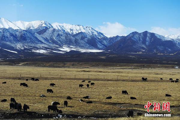 红棉股份!：公司的主营业务为食品饮料及文化创意产业园区开发和运营