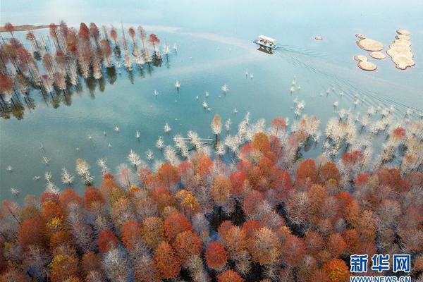 未按规定—履行:信披义务，北方稀土收警示函