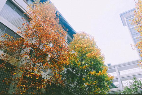 金科脱困<记>——;“白衣骑士”长城资产探索房企重整创新路径