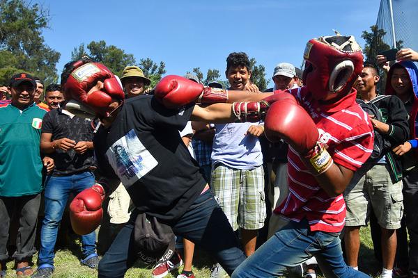 首:发麒麟9030！华为本月发mate 80：博主称某些方面会把苹果17打得找不着北