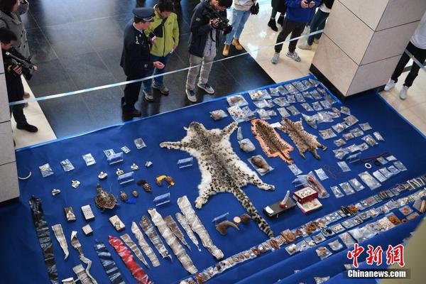 隆基绿?能（601012）2025年中报简析：亏损收窄