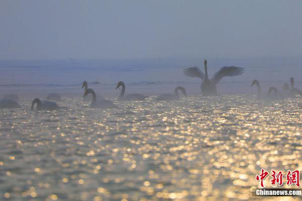 同花顺紧急{叫}停减持背后：一场“让渡机会”争议下的信任修复战