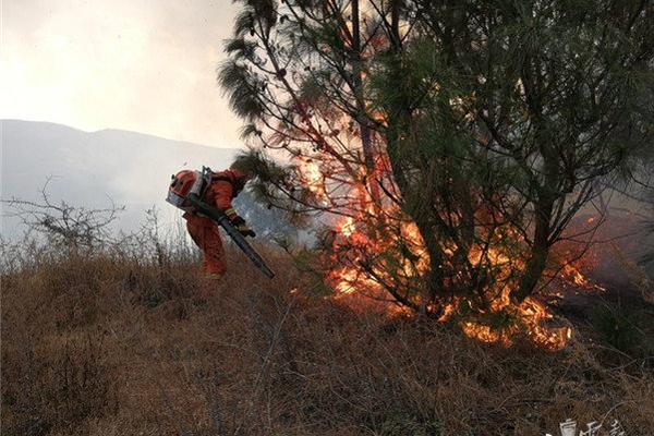 超.市{“}胖改”：商品汰换率70%，毛利率19%，吸引30%新用户
