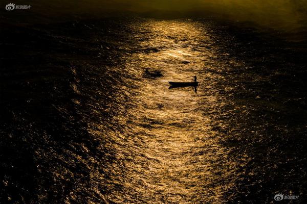 算力板块获利?回调 基金看好后市向“人工智能 ”扩散