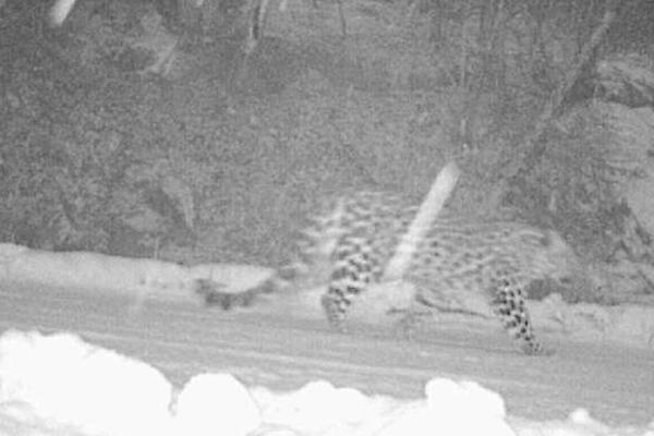 美国国债飙升?降息押注‘上’扬 adp报告显示私营企业雇员意外大减