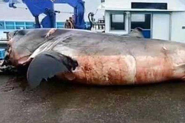 苏{奥}传感：—amb覆铜陶瓷基板是功率电子和高温封装的关键材料，已获得相关客户认证