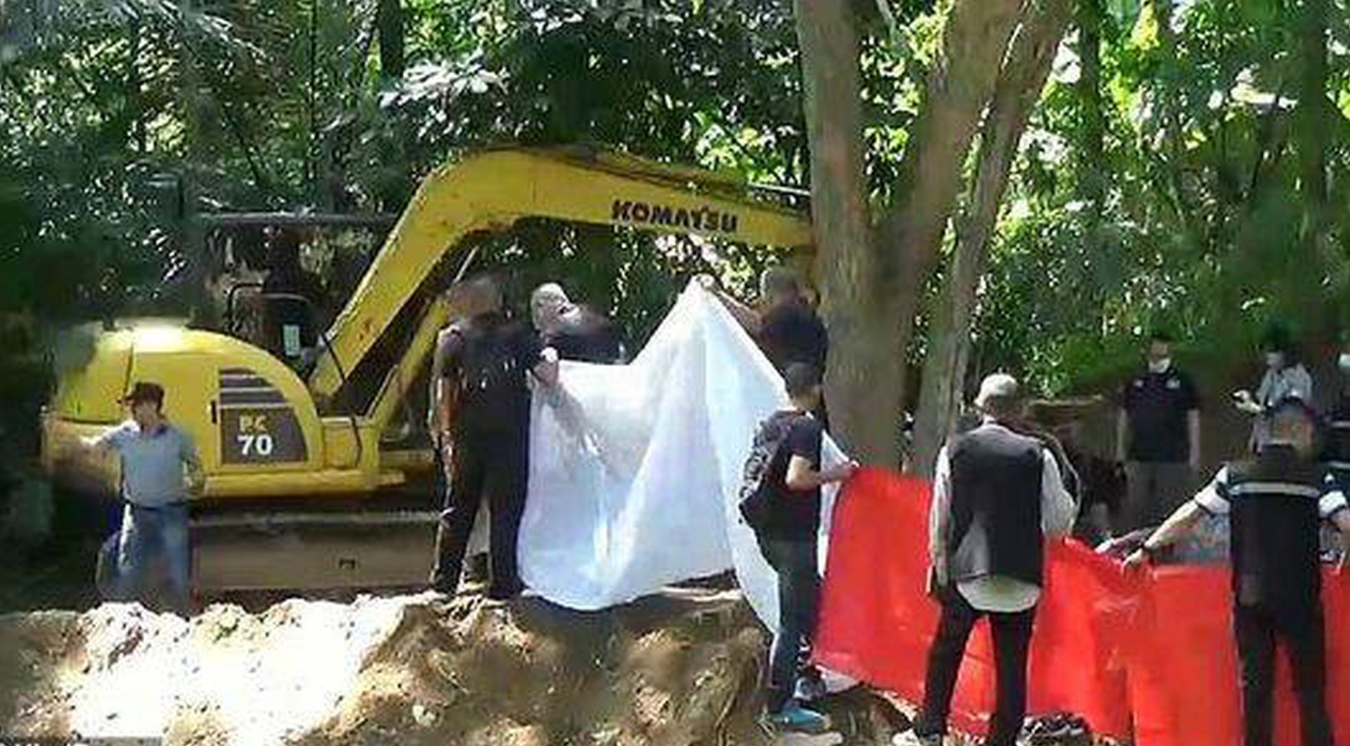 【太平洋金融|点<评>】同花顺2025年中报点评：技术赋能助力发展，市场需求持续释放