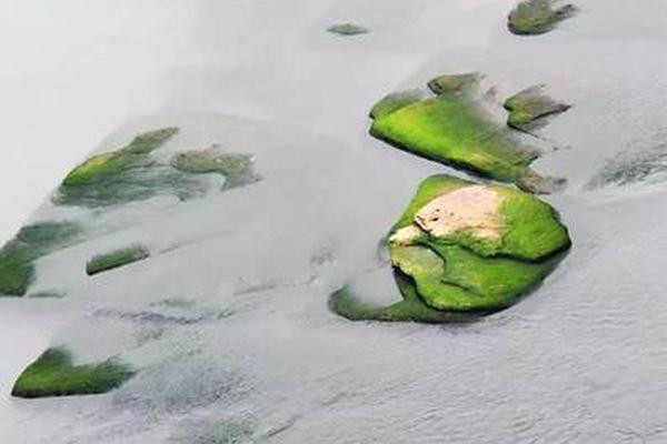 第一上海：维持紫金矿业“买入,”评?级 目标价37.61港元