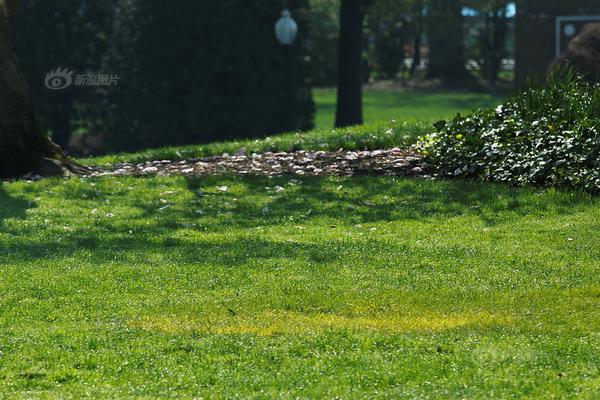 全‘球’市场受美联储降息预期提振 美国市场因感恩节休市