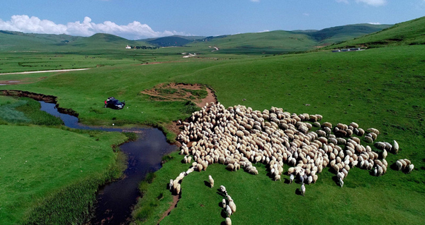 上涨:49.8,2%！重温中国锂电上市企业最具投资价值24强排行榜