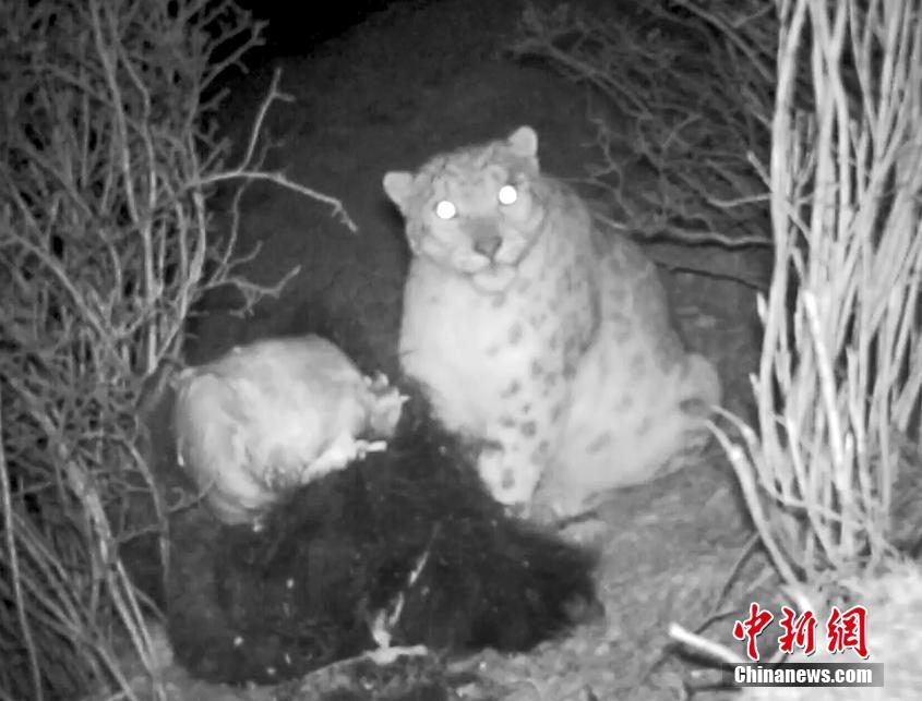 港股内银股集,体—反弹 低估值隐含价值空间