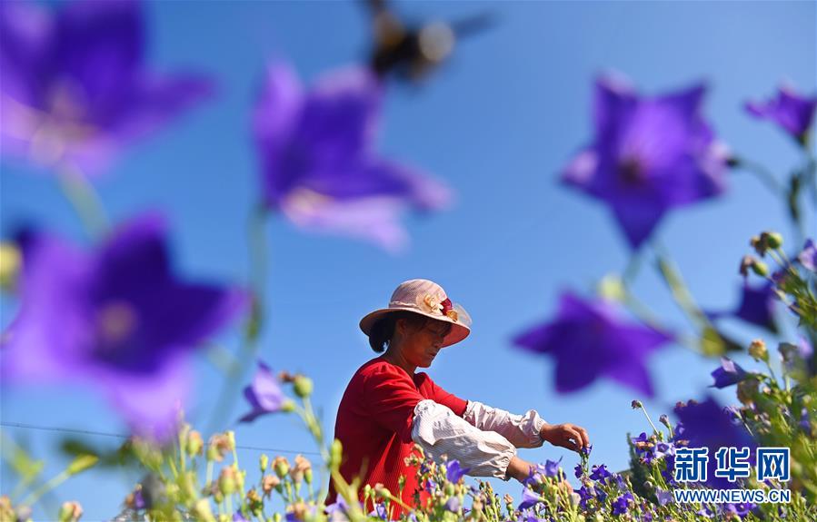 中天精装;：公司当前不是深股通<标>的股票