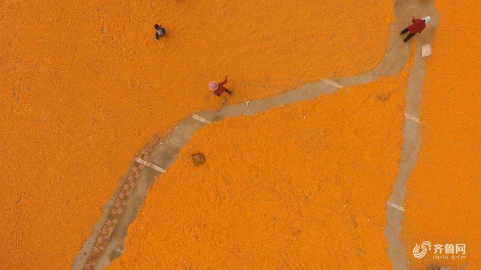 内—斗终结即遇退市风险，*st兰黄豪掷数千万加码饮料