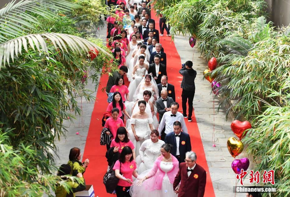 欧洲猪肉—行业急了，欧盟：正研究中方反倾销裁决