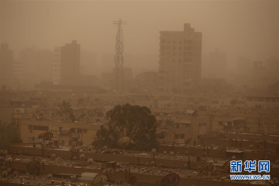 贵州证监!局：多措并举推进财务造假综合惩防
