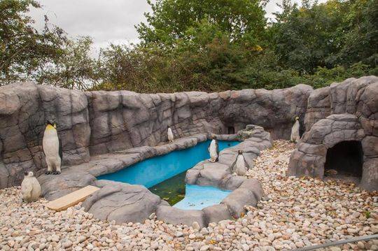 我国5g基{站}超4:75万 5g-a商用加速推进 6g专利全球领先